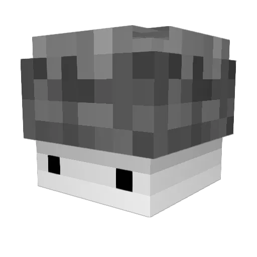 chokky_milk Minecraft avatar head, 3D render