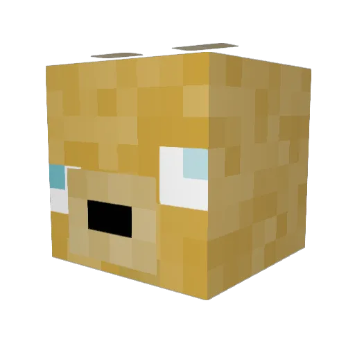 choko5 Minecraft avatar head, 3D render