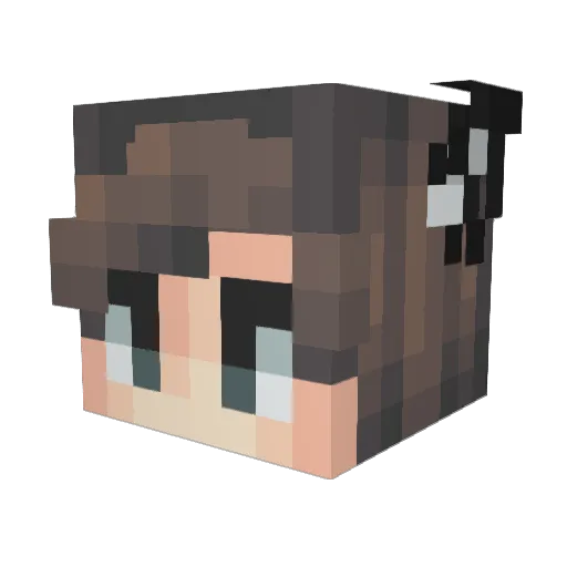 choko_cocoa Minecraft avatar head, 3D render