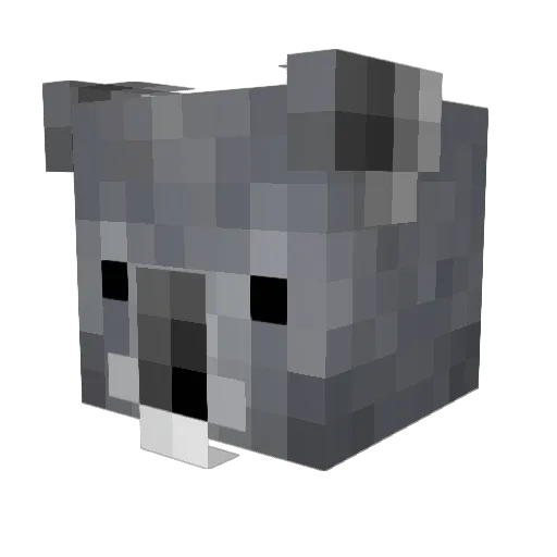 chokoala0215 Minecraft avatar head, 3D render