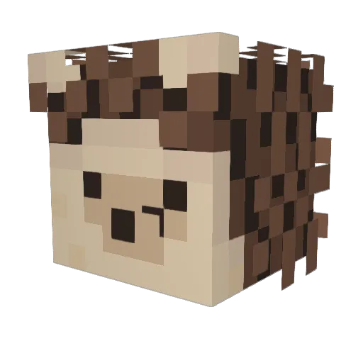 chokobar_1337 Minecraft avatar head, 3D render
