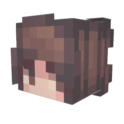 chompseasoned Minecraft avatar head, 3D render