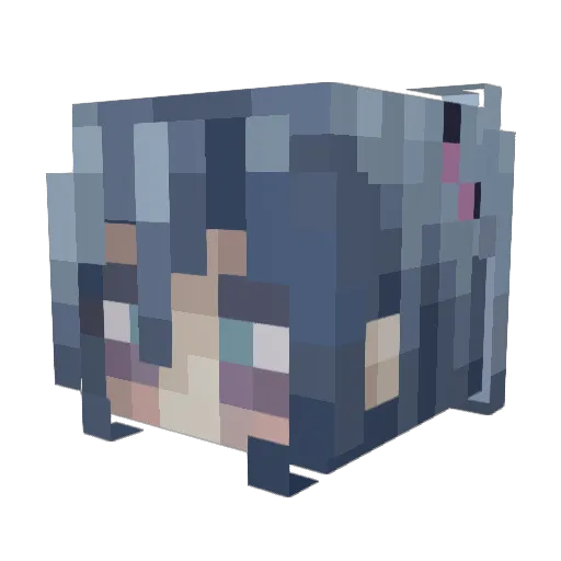 chompus__ Minecraft avatar head, 3D render