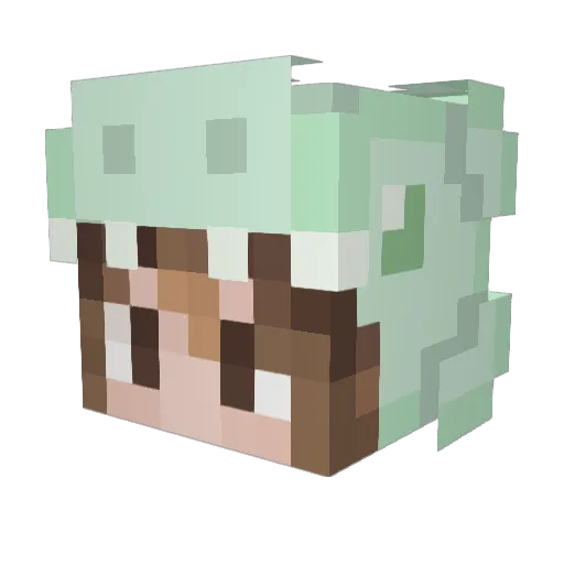 chonkster_2021 Minecraft avatar head, 3D render