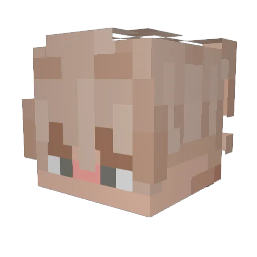 chonkytoby Minecraft avatar head, 3D render