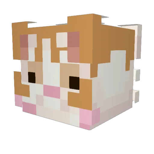choochoo420 Minecraft avatar head, 3D render