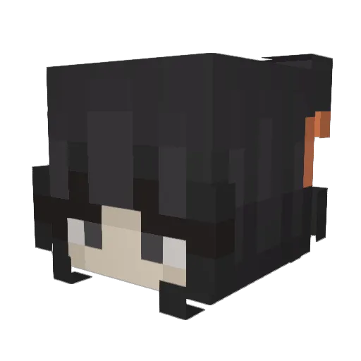 choochootrain69 Minecraft avatar head, 3D render