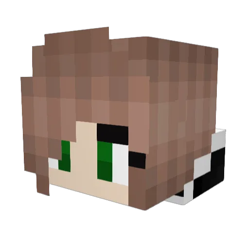 chookiealt02 Minecraft avatar head, 3D render