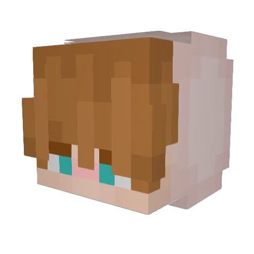 chookiepookie Minecraft avatar head, 3D render