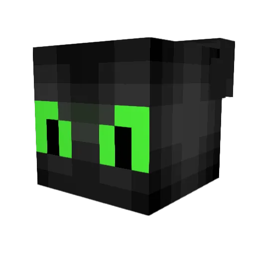 chookies873 Minecraft avatar head, 3D render