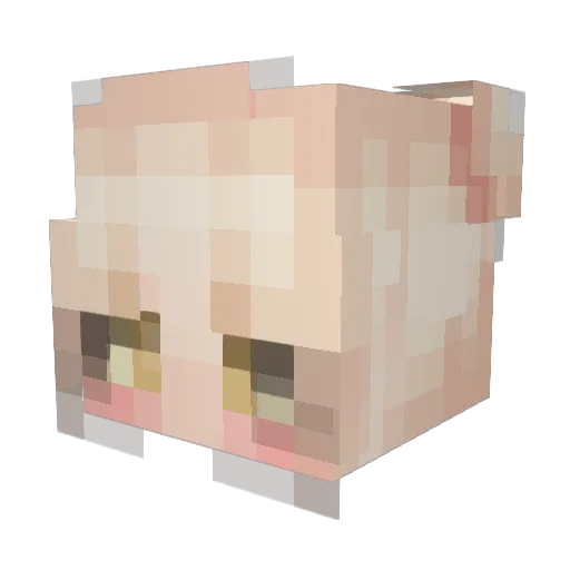 chopper1122 Minecraft avatar head, 3D render