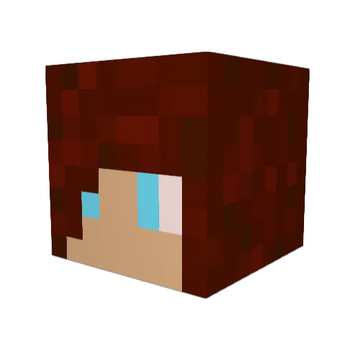 chopper972 Minecraft avatar head, 3D render