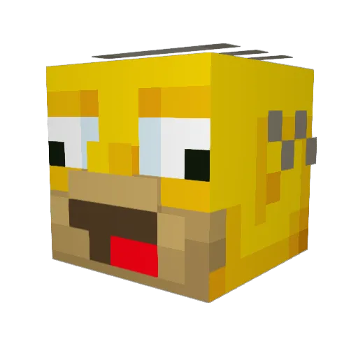 choraprovoid2408 Minecraft avatar head, 3D render