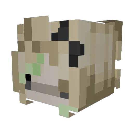 chorobaah Minecraft avatar head, 3D render
