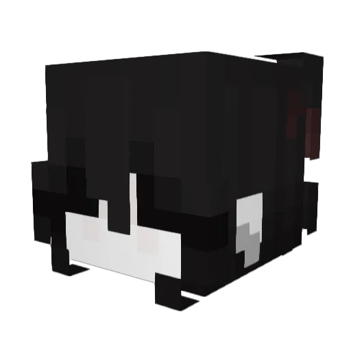 chosenxd Minecraft avatar head, 3D render