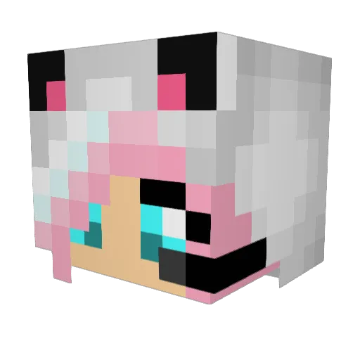chouchoudu34 Minecraft avatar head, 3D render