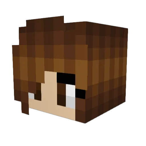 choux_bun Minecraft avatar head, 3D render