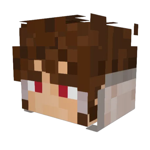 chowchow17 Minecraft avatar head, 3D render