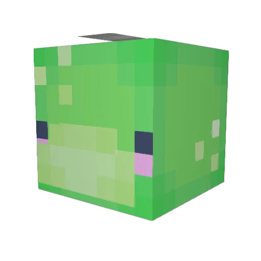 chowchowsoup Minecraft avatar head, 3D render