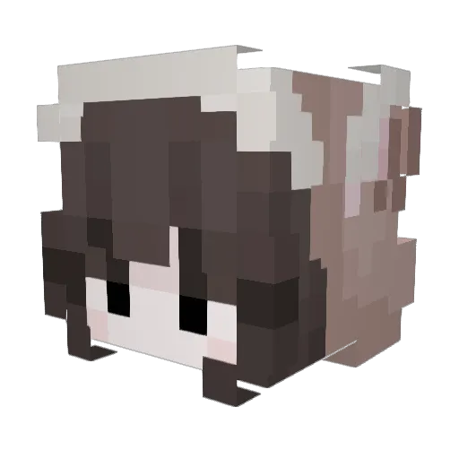 chowder014 Minecraft avatar head, 3D render