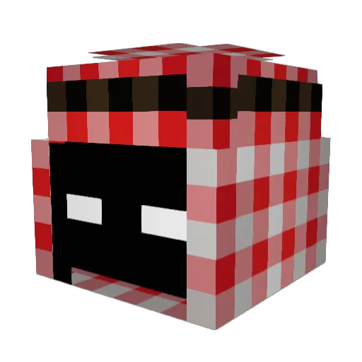 chraw Minecraft avatar head, 3D render