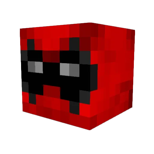 chris2x4 Minecraft avatar head, 3D render