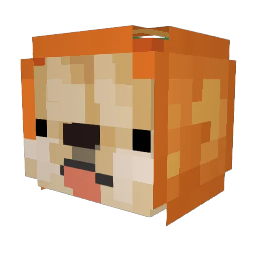 chris529 Minecraft avatar head, 3D render