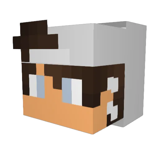 chrisandsebi Minecraft avatar head, 3D render
