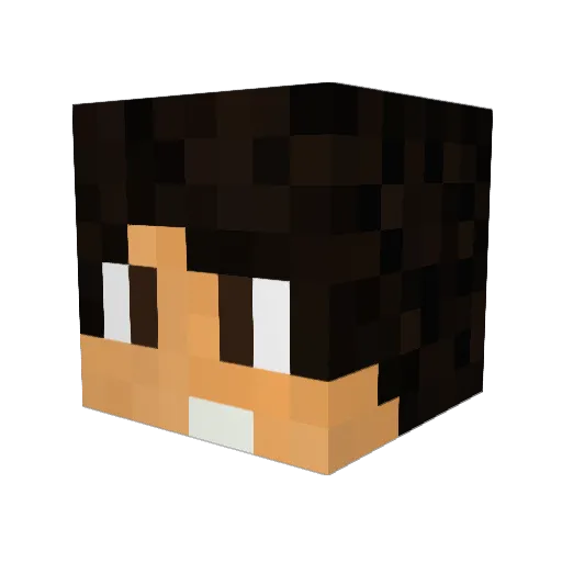 chrisii_STYLER Minecraft avatar head, 3D render