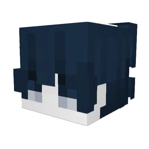 chrisinmaidsuit Minecraft avatar head, 3D render
