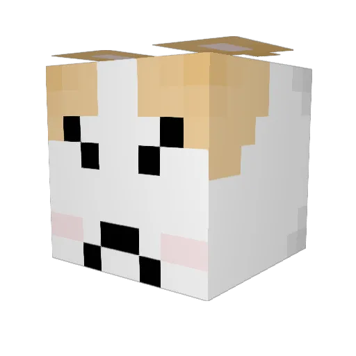 christhefox125 Minecraft avatar head, 3D render