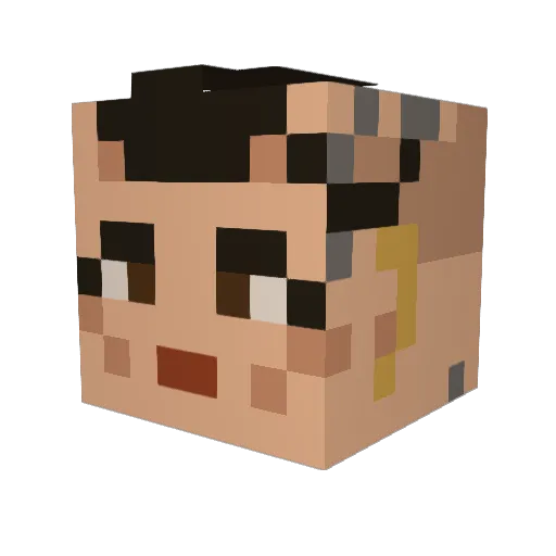 christinapls Minecraft avatar head, 3D render