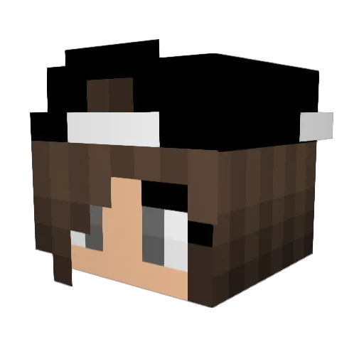 christmascheer90 Minecraft avatar head, 3D render