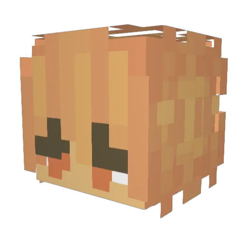chriswashere1 Minecraft avatar head, 3D render