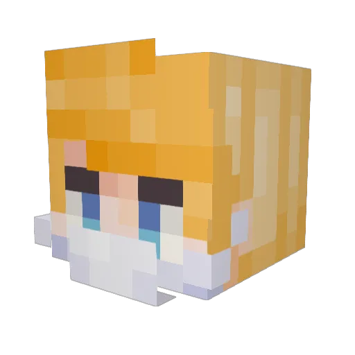chromebook_god Minecraft avatar head, 3D render