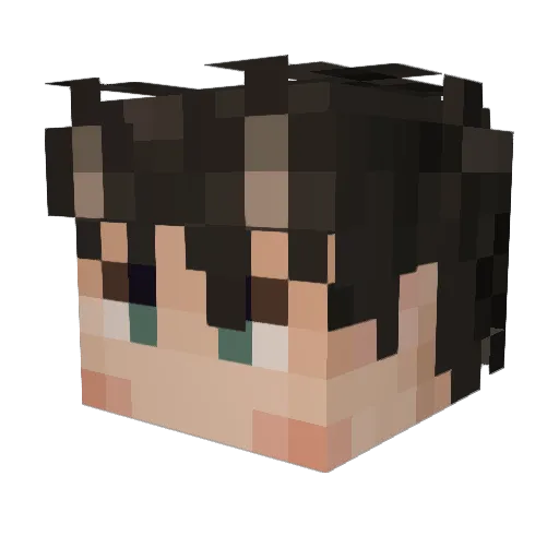 chromicide Minecraft avatar head, 3D render