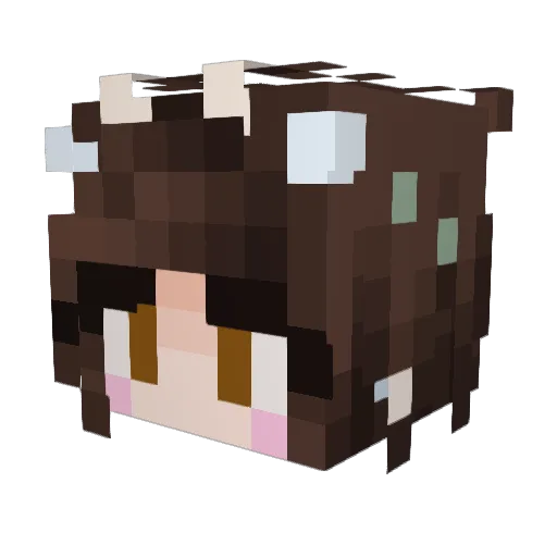 chronicallycats Minecraft avatar head, 3D render
