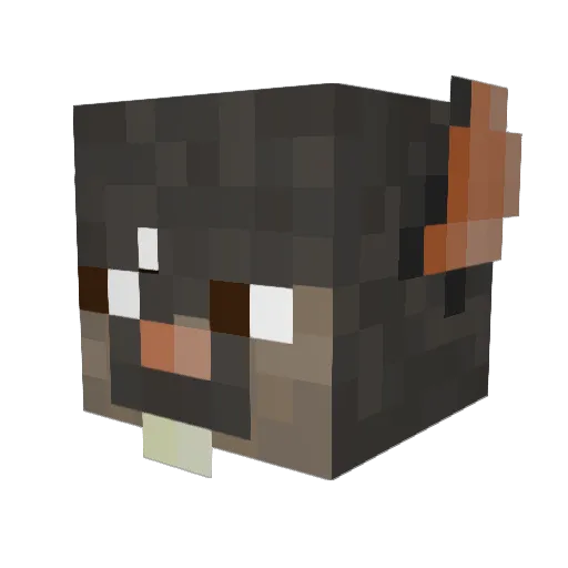 chronorat Minecraft avatar head, 3D render