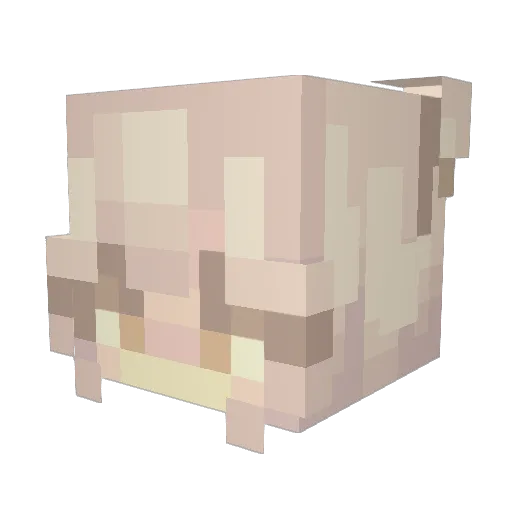 chronozyx Minecraft avatar head, 3D render