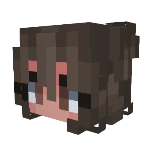 chroynic Minecraft avatar head, 3D render