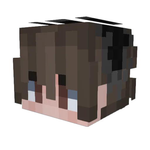 chrts Minecraft avatar head, 3D render