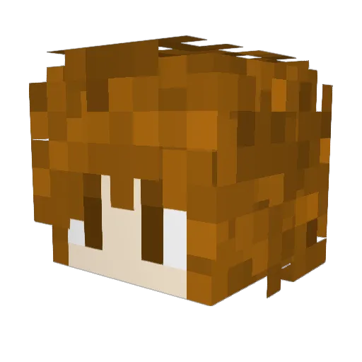 chrysanthemums_ Minecraft avatar head, 3D render