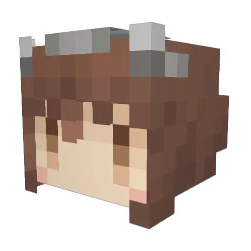 chs1911 Minecraft avatar head, 3D render