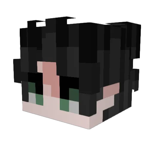 chsa13 Minecraft avatar head, 3D render