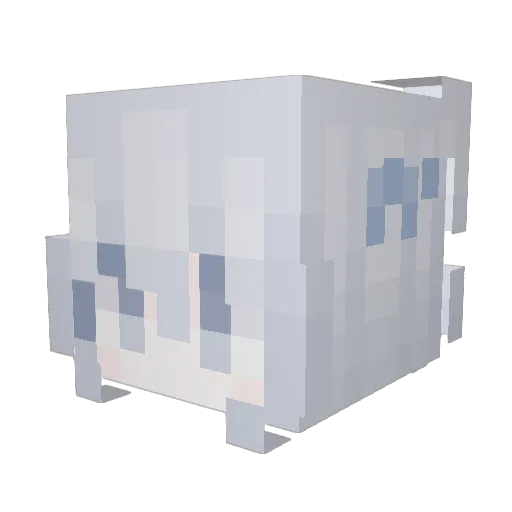 chuayo Minecraft avatar head, 3D render