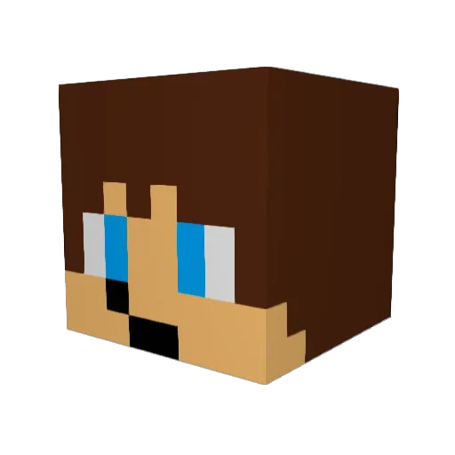 chubb_master_ Minecraft avatar head, 3D render