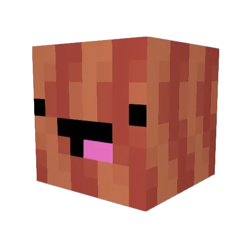 chubbybacon222 Minecraft avatar head, 3D render