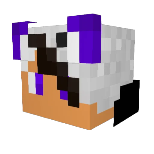 chubbymaster1 Minecraft avatar head, 3D render