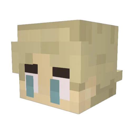 chubbysmall Minecraft avatar head, 3D render