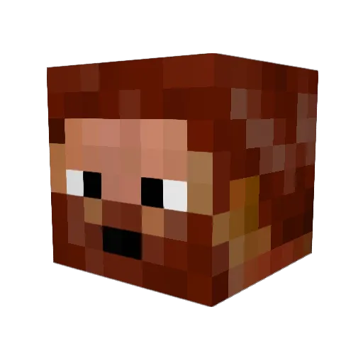 chubbywalrus Minecraft avatar head, 3D render